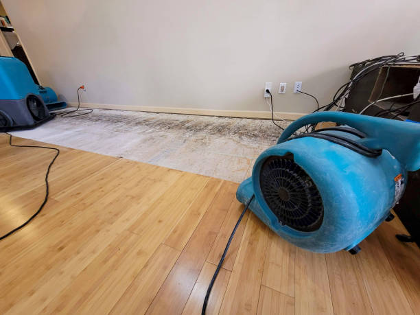 Professional Structural Drying technician working in Oakton, VA